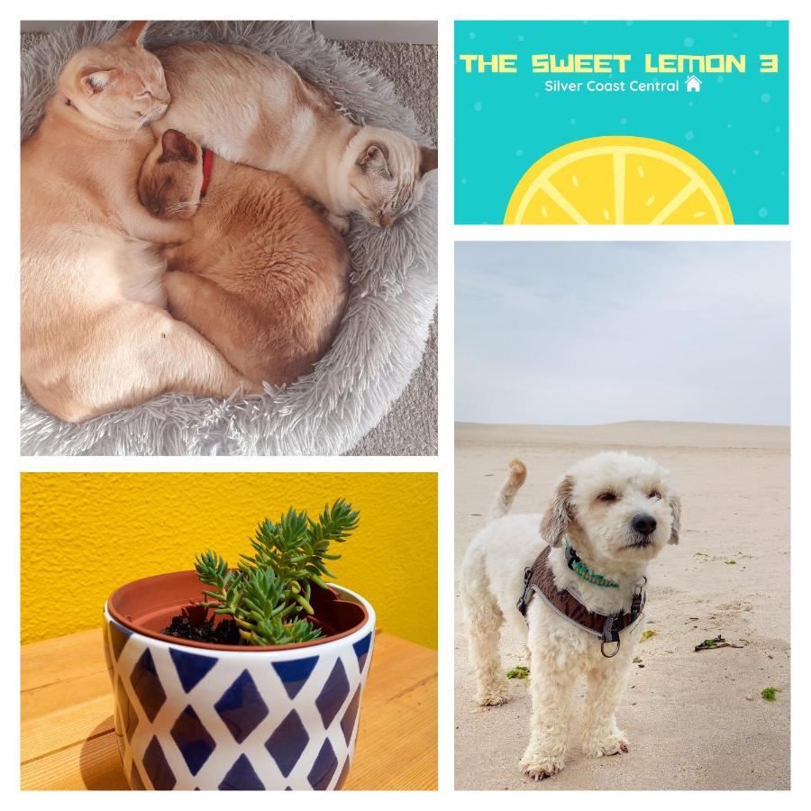 The Sweet Lemon 3 Apartment Bombarral Exterior foto
